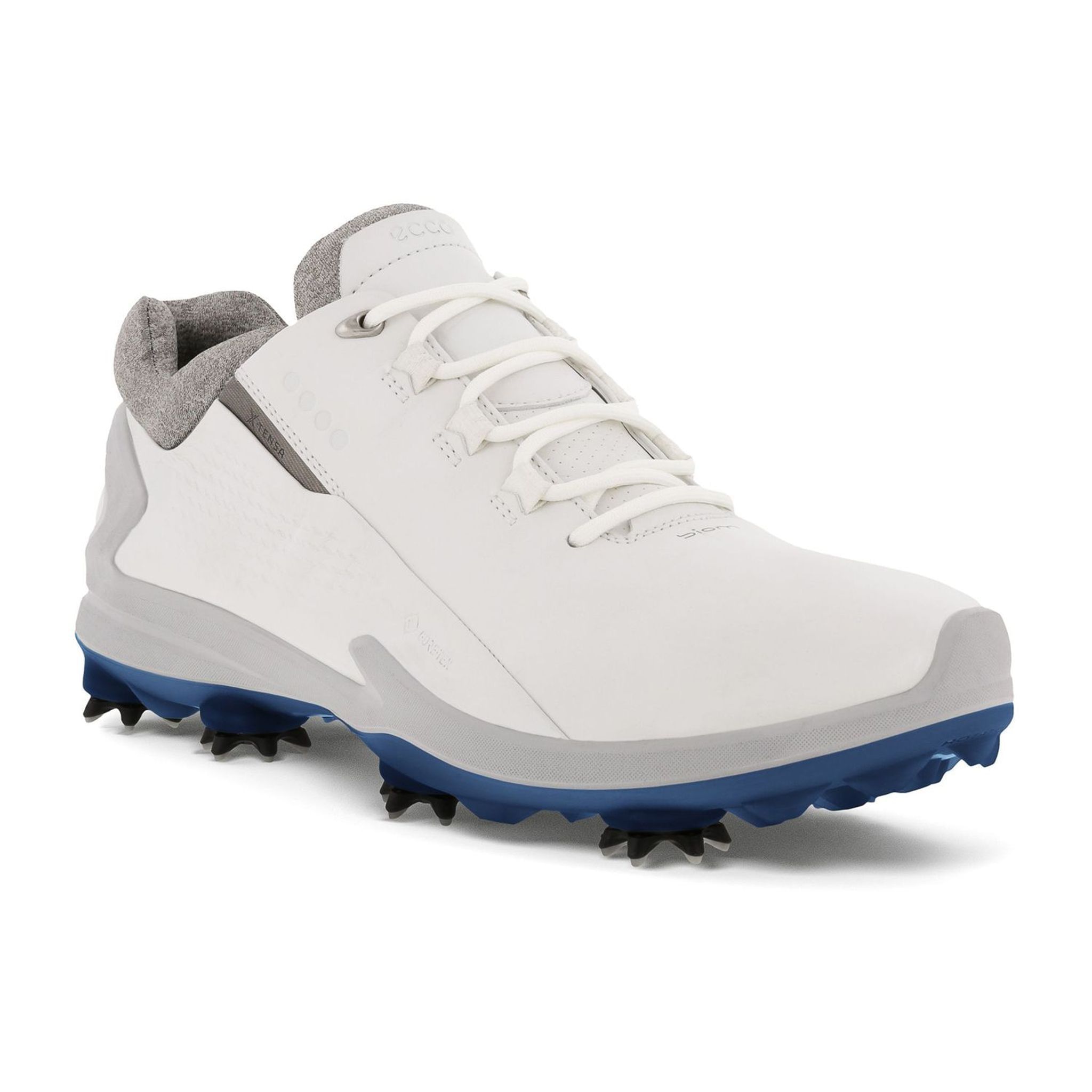 Scarpe da golf da uomo Ecco Biom G3