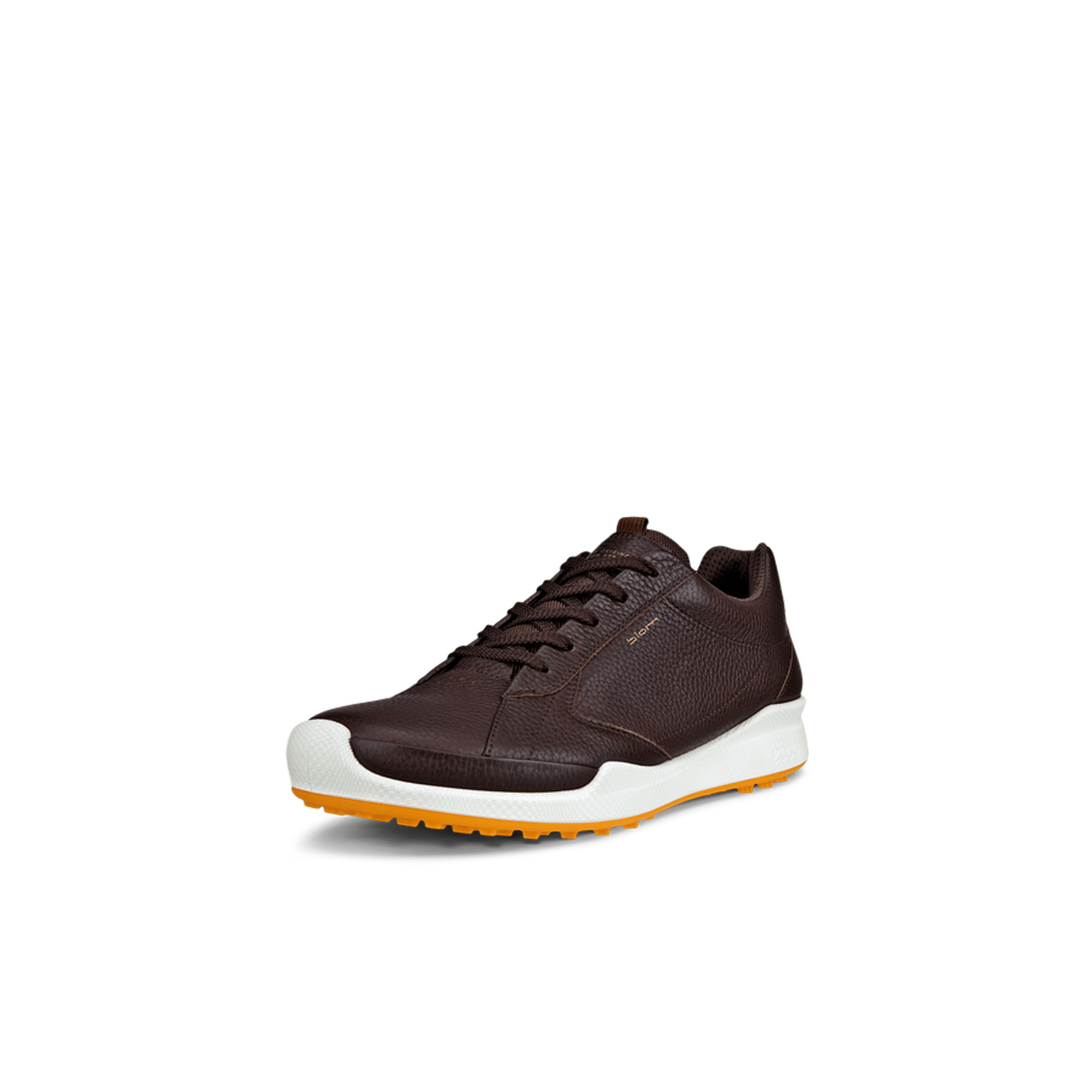 Scarpe da golf ibride Ecco Biom da uomo