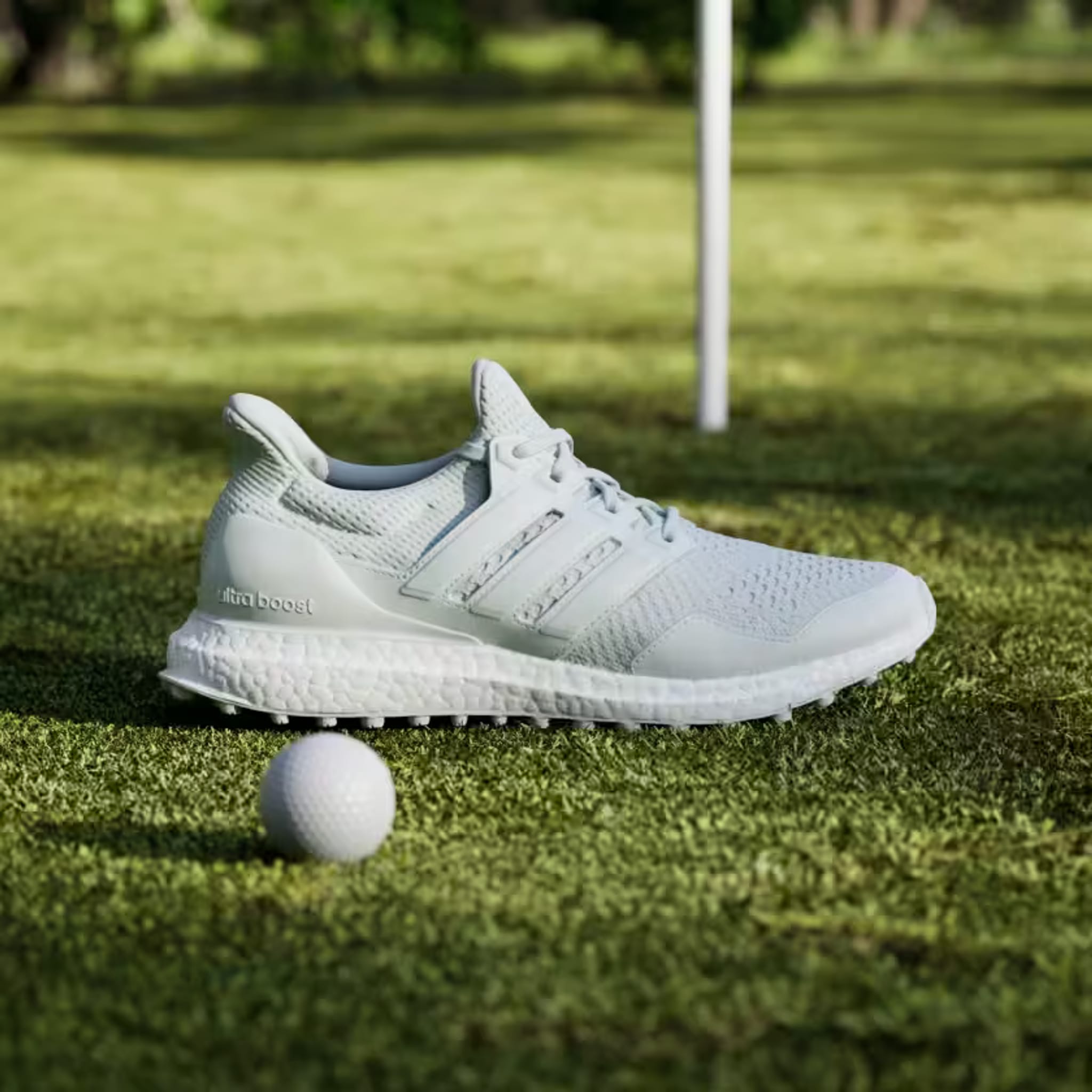 Scarpa da golf Adidas Ultraboost