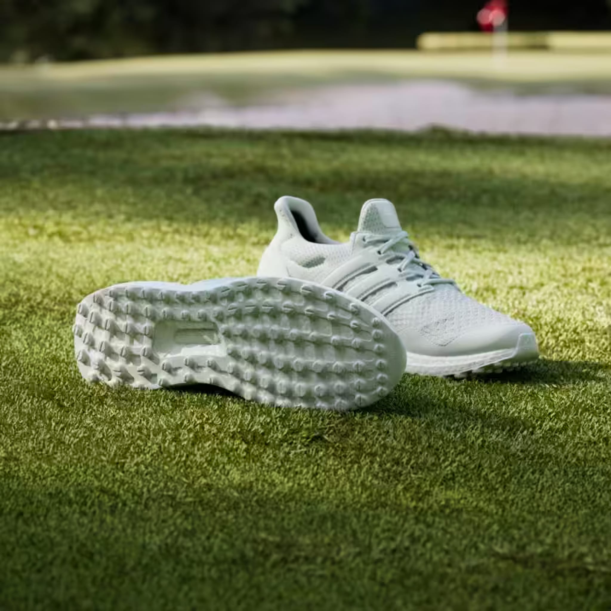 Scarpa da golf Adidas Ultraboost