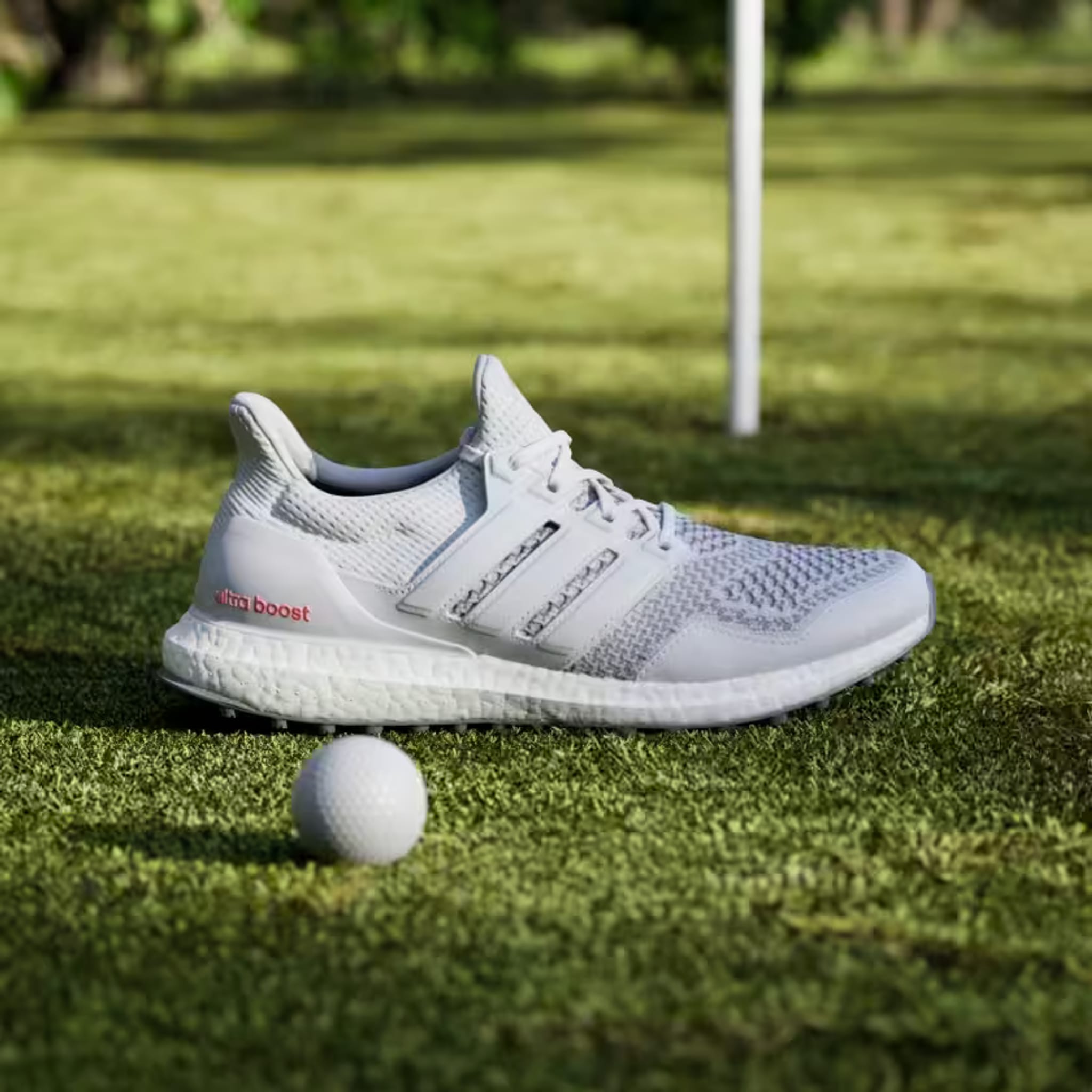 Scarpa da golf Adidas Ultraboost